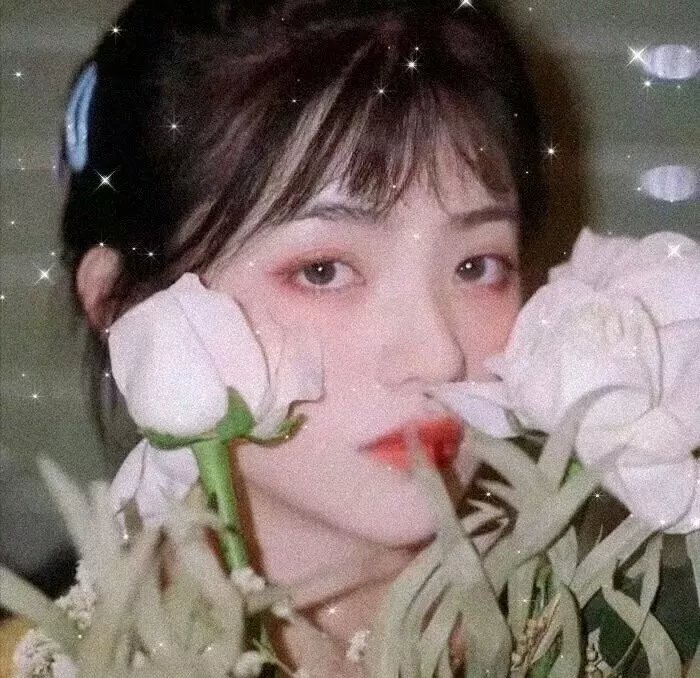 布朗蒂姊妹